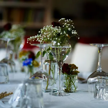 Farm stay Settecentoalberi *