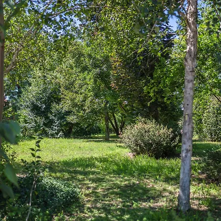 Settecentoalberi *