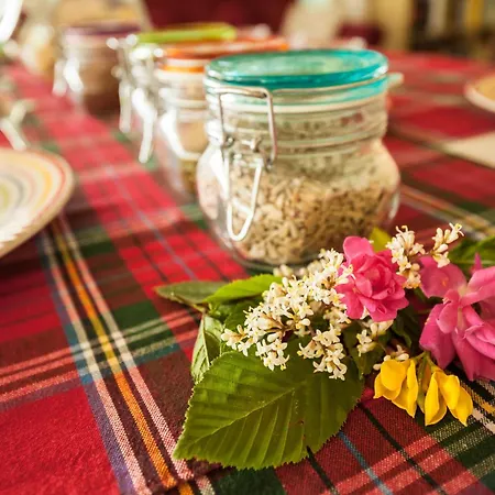 Farm stay Settecentoalberi *