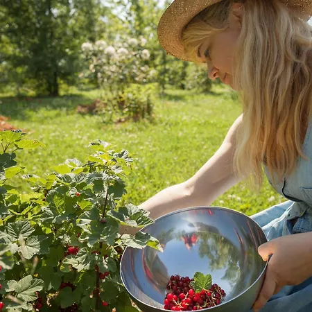 Farm stay Settecentoalberi Noventa di Piave