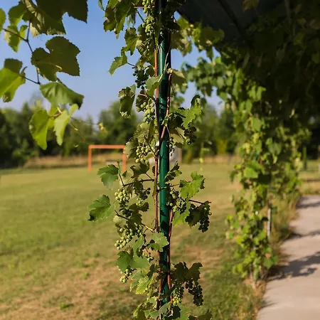 Settecentoalberi Farm stay *