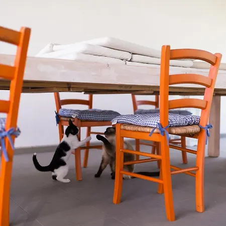 Settecentoalberi Farm stay Noventa di Piave