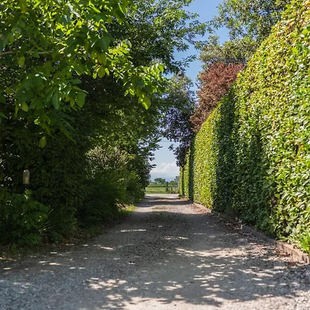 Settecentoalberi Bauernhof Noventa di Piave