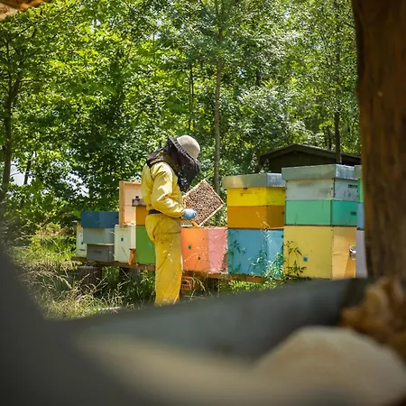 Settecentoalberi Alojamento de Turismo Rural