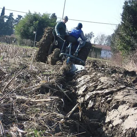 Alojamento de Turismo Rural Settecentoalberi *