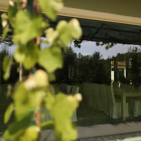 Settecentoalberi * Noventa di Piave